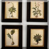 A07. Framed botanical prints. 